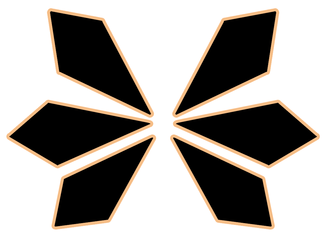 Other shaped wings